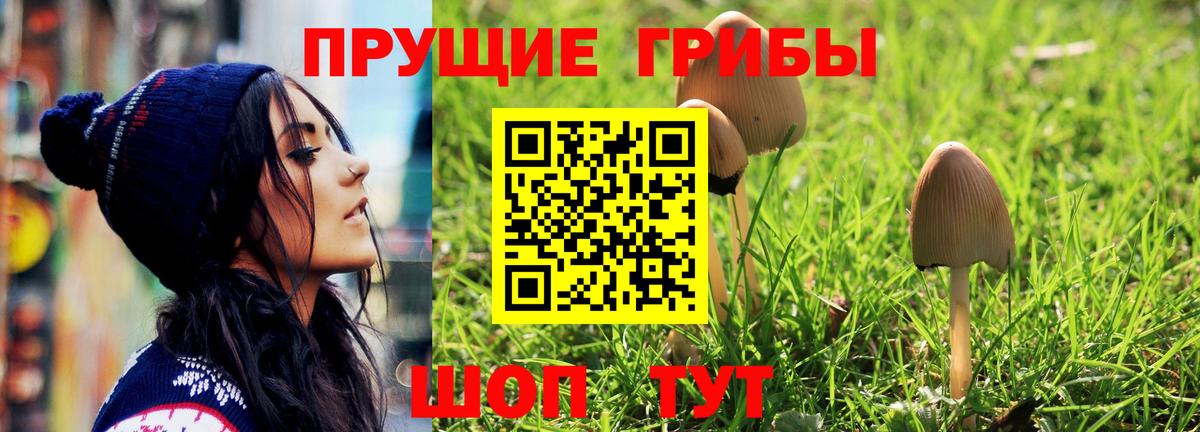 Кулебаки  Псилоцибиновые грибы мухоморы  купить наркотики цена  Вход с VPN  Галлюциногенные грибы Psilocybine cubensis 